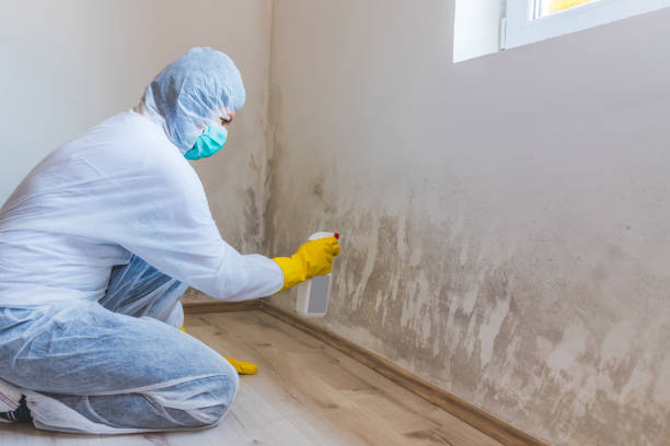 Licensed Crawl Space Mold Removal service in Dunn Loring, VA - WQB Mold Removal