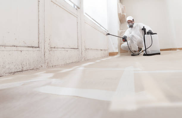 24/7 Emergency Crawl Space Mold Removal experts in Dunn Loring, VA