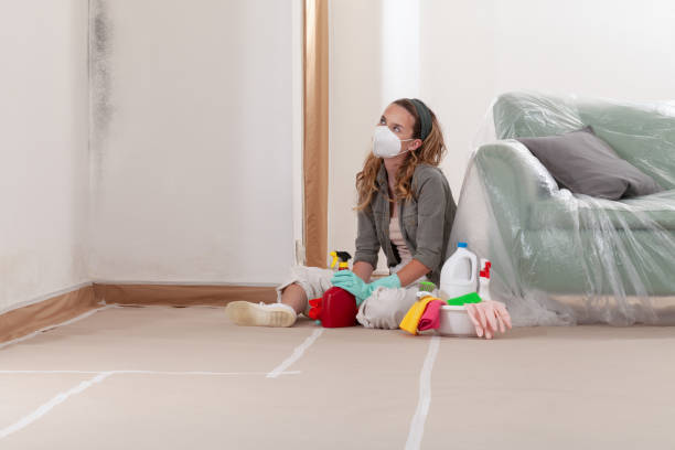 Reliable Crawl Space Mold Removal contractor in Dunn Loring, VA by WQB Mold Removal
