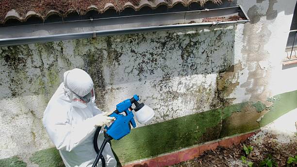 Top rated local Crawl Space Mold Removal specialists in Dunn Loring, VA
